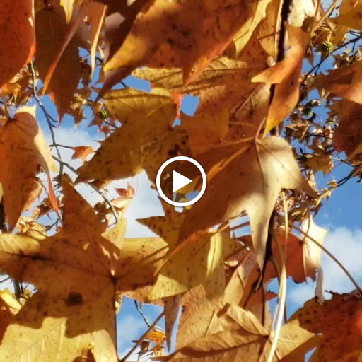 Farm «Manoff Market Gardens», reviews and photos, 3157 Comfort Rd, Solebury, PA 18963, USA