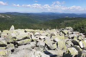 Lusen Summit & Panoramic View Point image