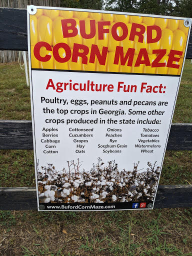 Farm «Buford Corn Maze.», reviews and photos, 4470 Bennett Rd, Buford, GA 30519, USA