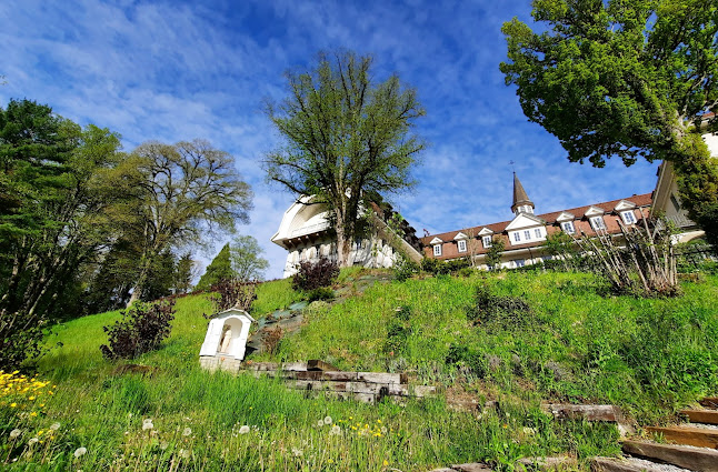 Rue des Alpes 22, 1700 Fribourg, Schweiz