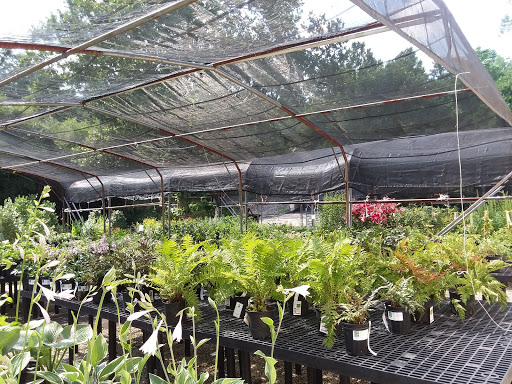 Montgomery Nurseries Inc