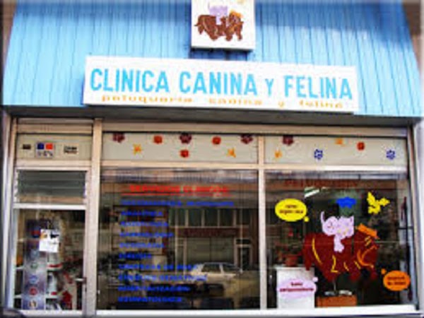 Clínica Veterinaria Canina y Felina