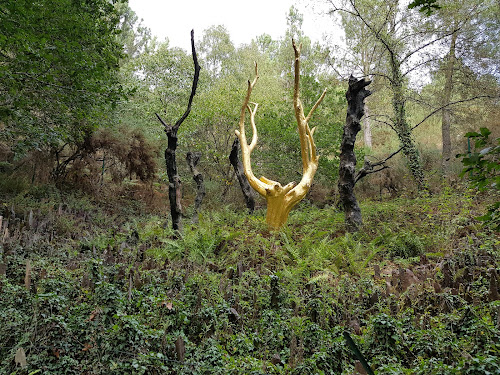 attractions La forêt de Brocéliande Paimpont