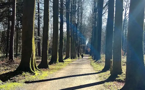 Tervuren bos image