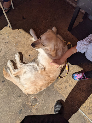 Shopping Mall «Pines Shopping Center», reviews and photos, 650 Elden St, Herndon, VA 20170, USA