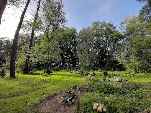 Tier-Wald-Friedhof Enkenbach-Alsenborn unter Enkenbach-Alsenborn, 