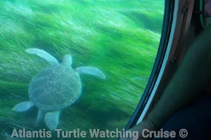 Atlantis Turtle Watching Cruise image