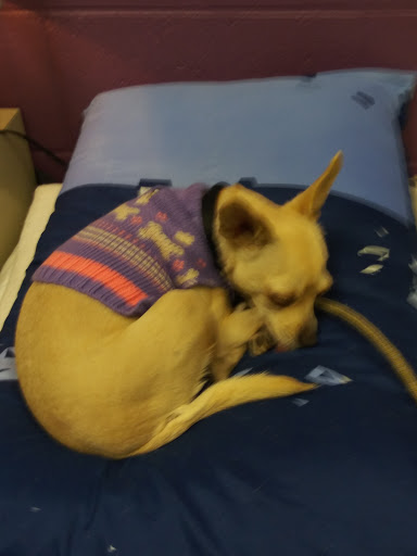 Non-Profit Organization «Urban Ministries of Durham», reviews and photos