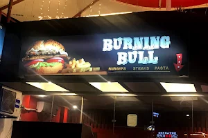Burning Bull image
