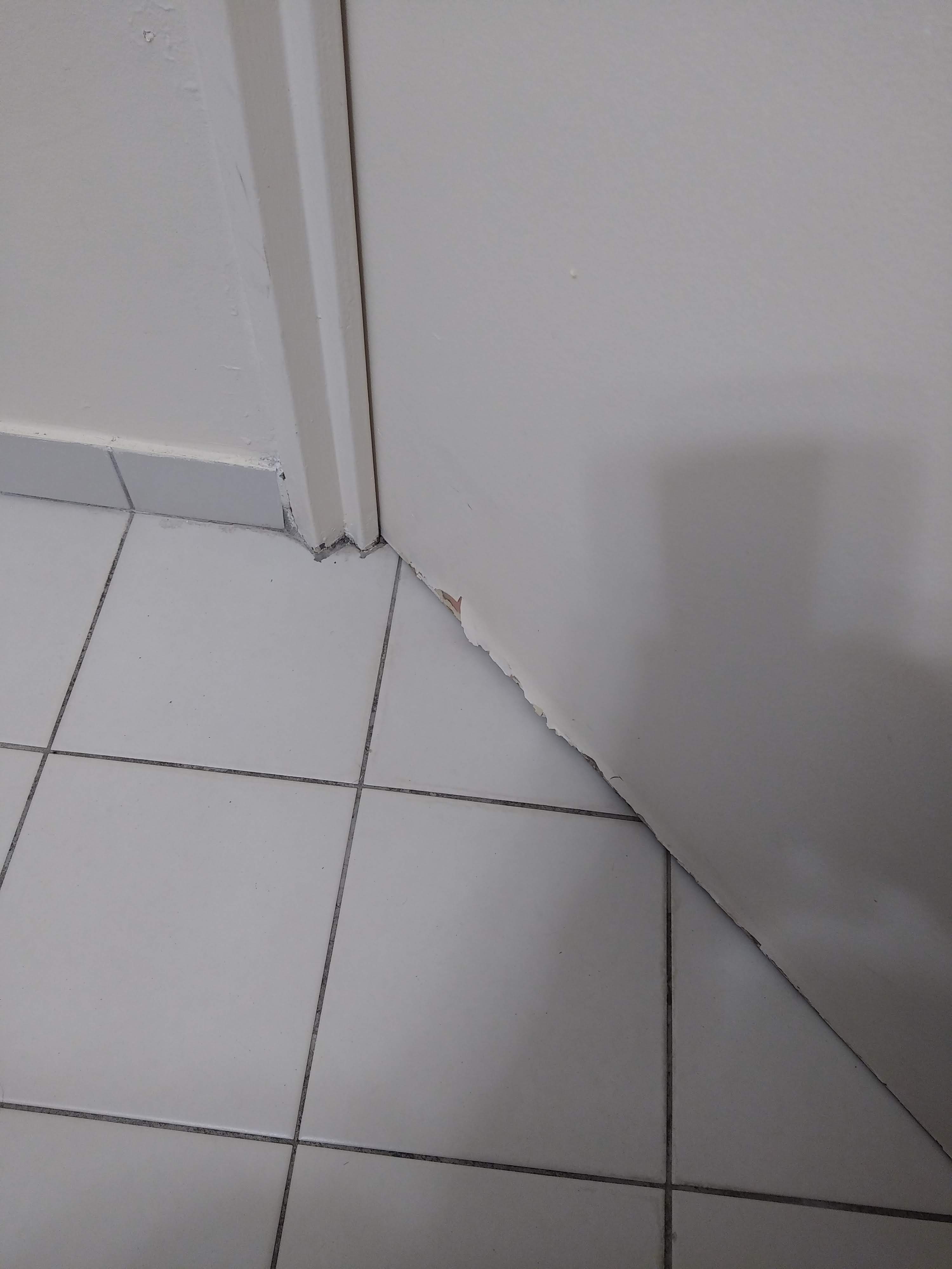 Photo n° 4 de l'avis de Alain.e fait le 26/02/2022 à 12:31
