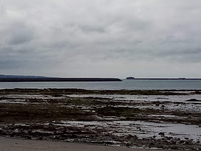 Les Viviers du Cap à Cherbourg-en-Cotentin