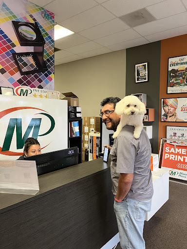 Minuteman Press Orange image