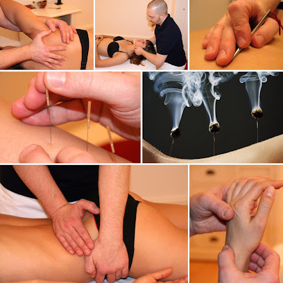 Vollmer-Therapien - Akupunktur-Massage, Physiotherapie, klinische PNI, Ernährung Artgerecht