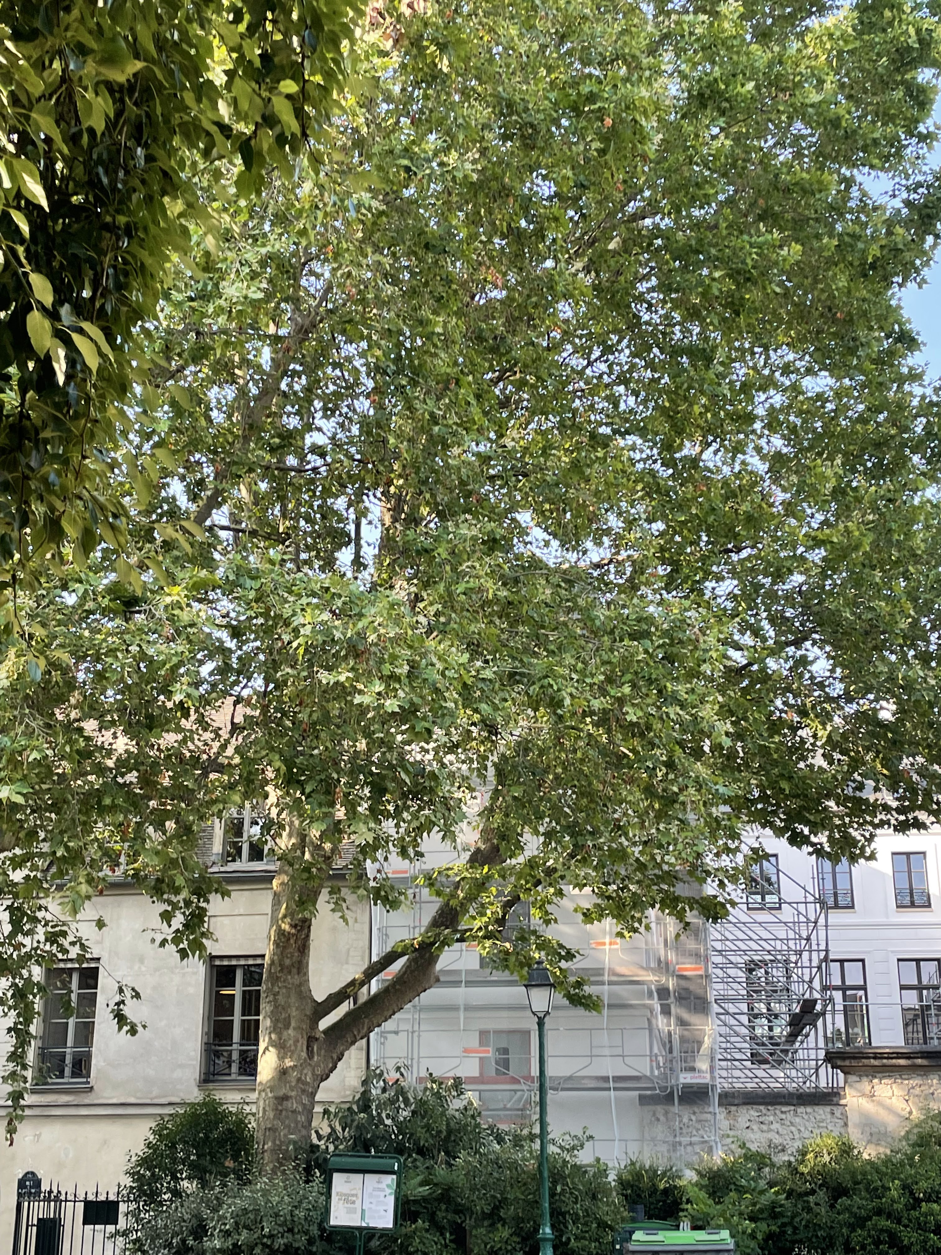 Photo n° 3 de l'avis de Leandre.e fait le 21/07/2021 à 17:03