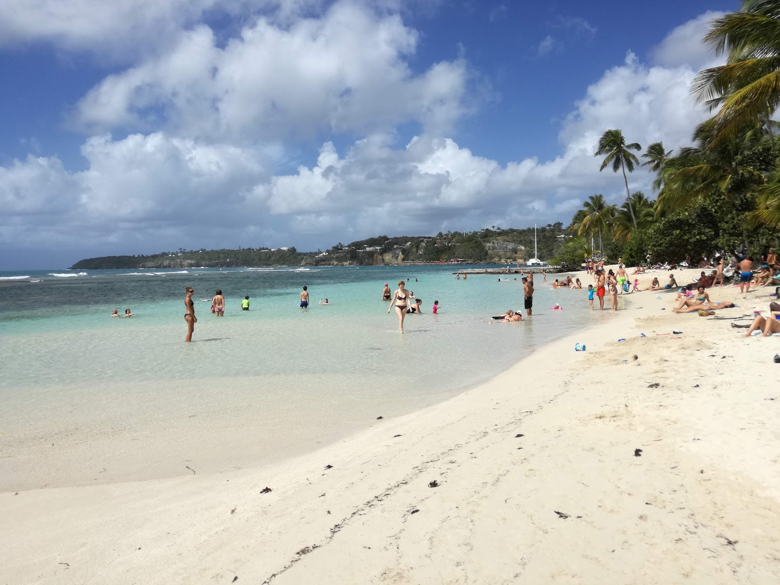 The Beach of Caravelle photo #8