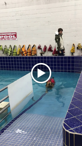 Pet Supply Store «Pet Depot Inc», reviews and photos, 2151 Greenspring Dr, Lutherville-Timonium, MD 21093, USA