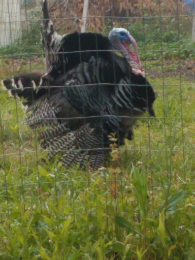 Ford Dealer «Northside Ford Truck Sales, Inc.», reviews and photos, 6221 NE Columbia Blvd, Portland, OR 97218, USA