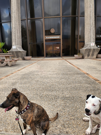 Park «Hemisfair Park», reviews and photos, 434 S Alamo St, San Antonio, TX 78205, USA