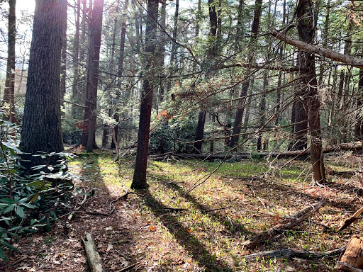 Funeral Home «Roberts and Sons Funeral Home», reviews and photos, 30 South St, Foxborough, MA 02035, USA