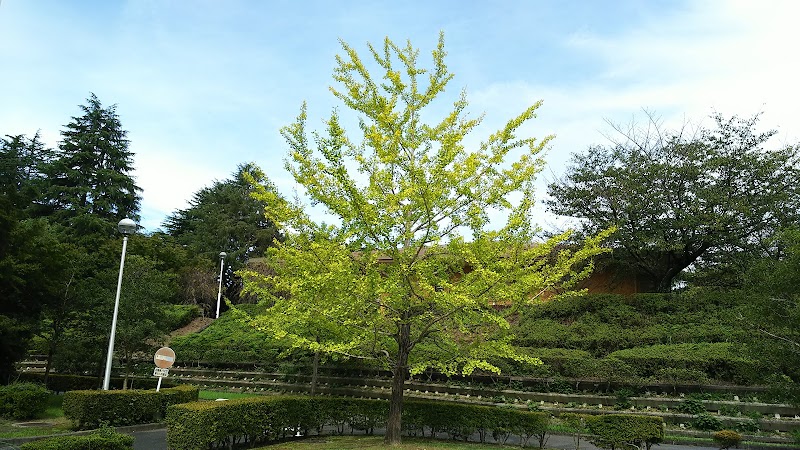 九州大学 筑紫キャンパス 福岡県春日市春日公園 大学院 グルコミ