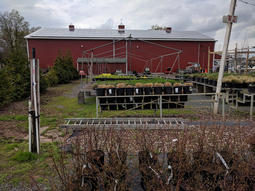 Lawn Mower Store «Central Jersey Nurseries Mower», reviews and photos, 18 Hamilton Rd, Hillsborough Township, NJ 08844, USA