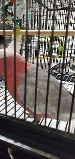 Pet Store «Pet Zone», reviews and photos, 8925 Jewella Ave #4, Shreveport, LA 71118, USA