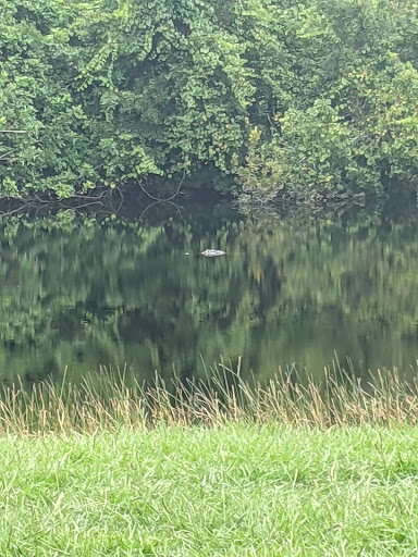 Golf Club «Scepter Golf Club reservations», reviews and photos, 1226 Newpoint Loop, Sun City Center, FL 33573, USA