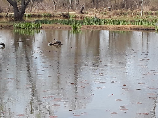 National Park «Kenilworth Park», reviews and photos, 1505 Ancostia Ave NE, Washington, DC 20019, USA