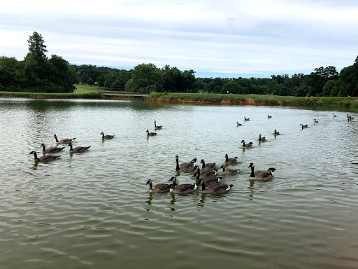 Park «Chastain Memorial Park», reviews and photos, 140 W Wieuca Rd NW, Atlanta, GA 30342, USA