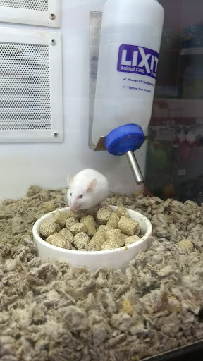 Pet Supply Store «Petco Animal Supplies», reviews and photos, 3731 Gateway Dr, Eau Claire, WI 54701, USA