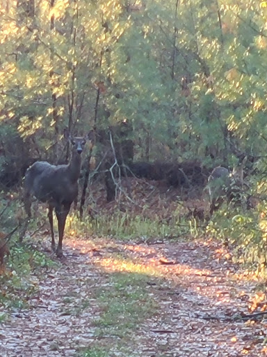 Campground «Gateway to Cape Cod RV Campground», reviews and photos, 90 Stevens Rd, Rochester, MA 02770, USA