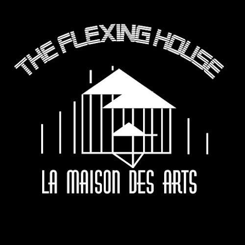 Rezensionen über The Flexing House in Bulle - Andere