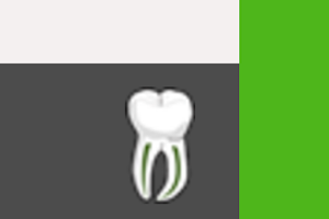 The Endodontic Practice
