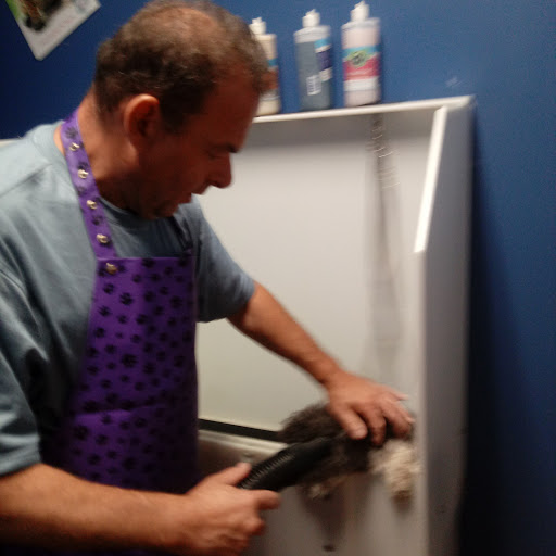 Pet Store «Super Dogs & Cats», reviews and photos, 380 Elm St, Biddeford, ME 04005, USA