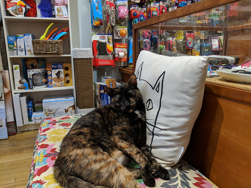 Pet Supply Store «PS9 Pets», reviews and photos, 169 N 9th St, Brooklyn, NY 11211, USA