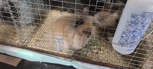 Department Store «Rural King», reviews and photos, 801 Cr-1510-10, Owensboro, KY 42303, USA