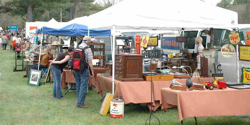 Neshanic Flea Market, 100 Elm St, Branchburg, NJ 08853, USA, 