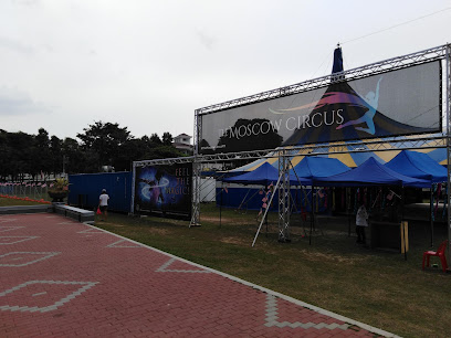 The Moscow Circus