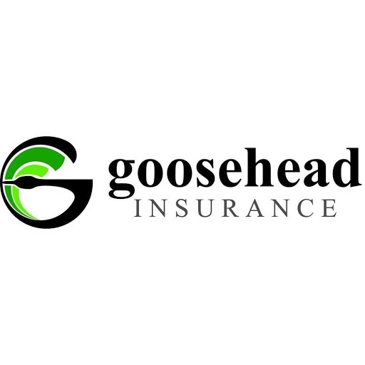 Goosehead Insurance - Joe Gilmartin