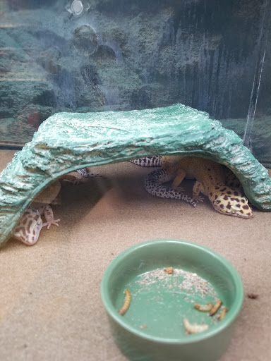 Pet Supply Store «Petco Animal Supplies», reviews and photos, 6280 S Westnedge Ave, Portage, MI 49002, USA