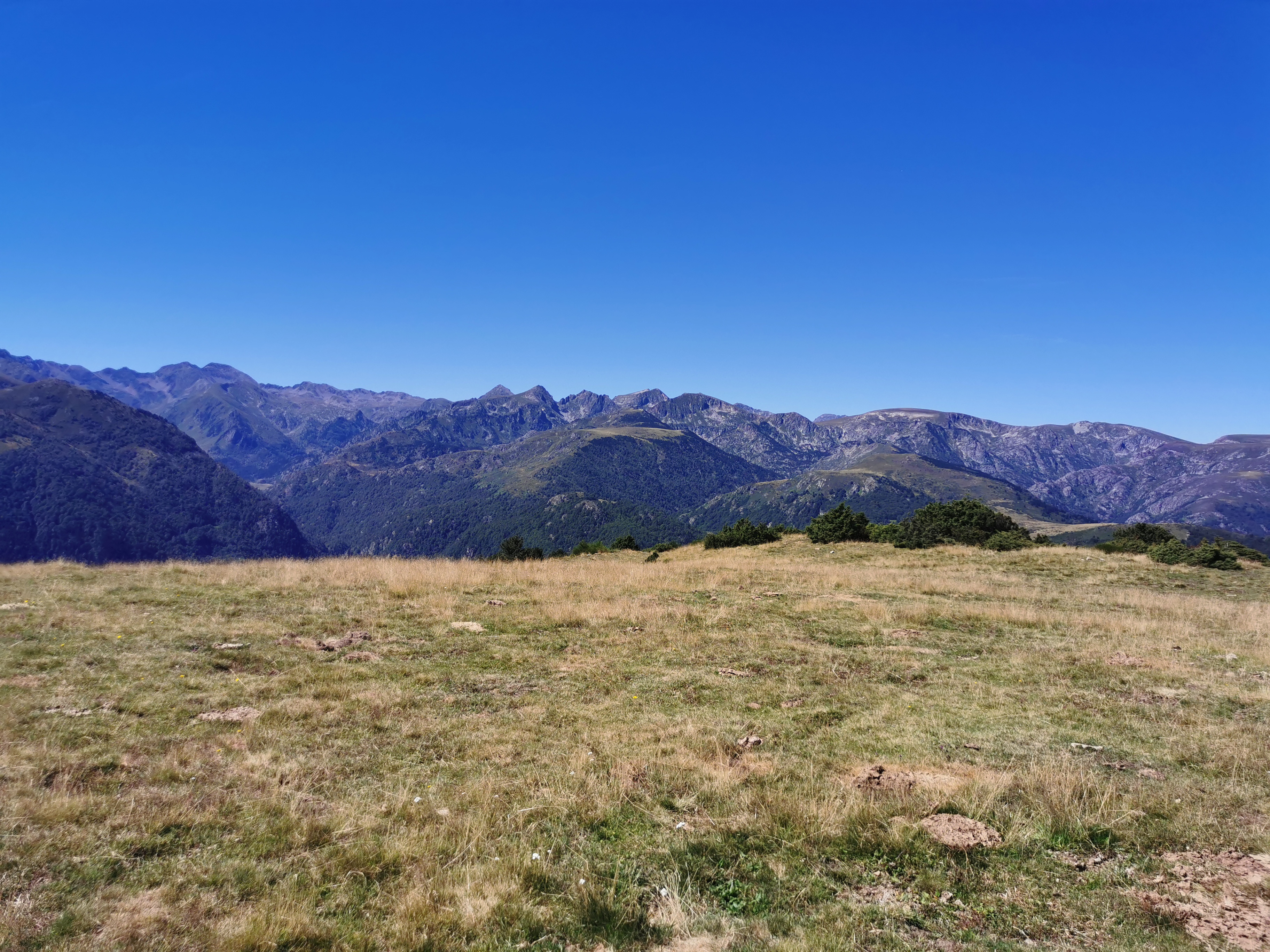 Photo n° 2 de l'avis de Chris.o fait le 13/08/2023 à 14:58