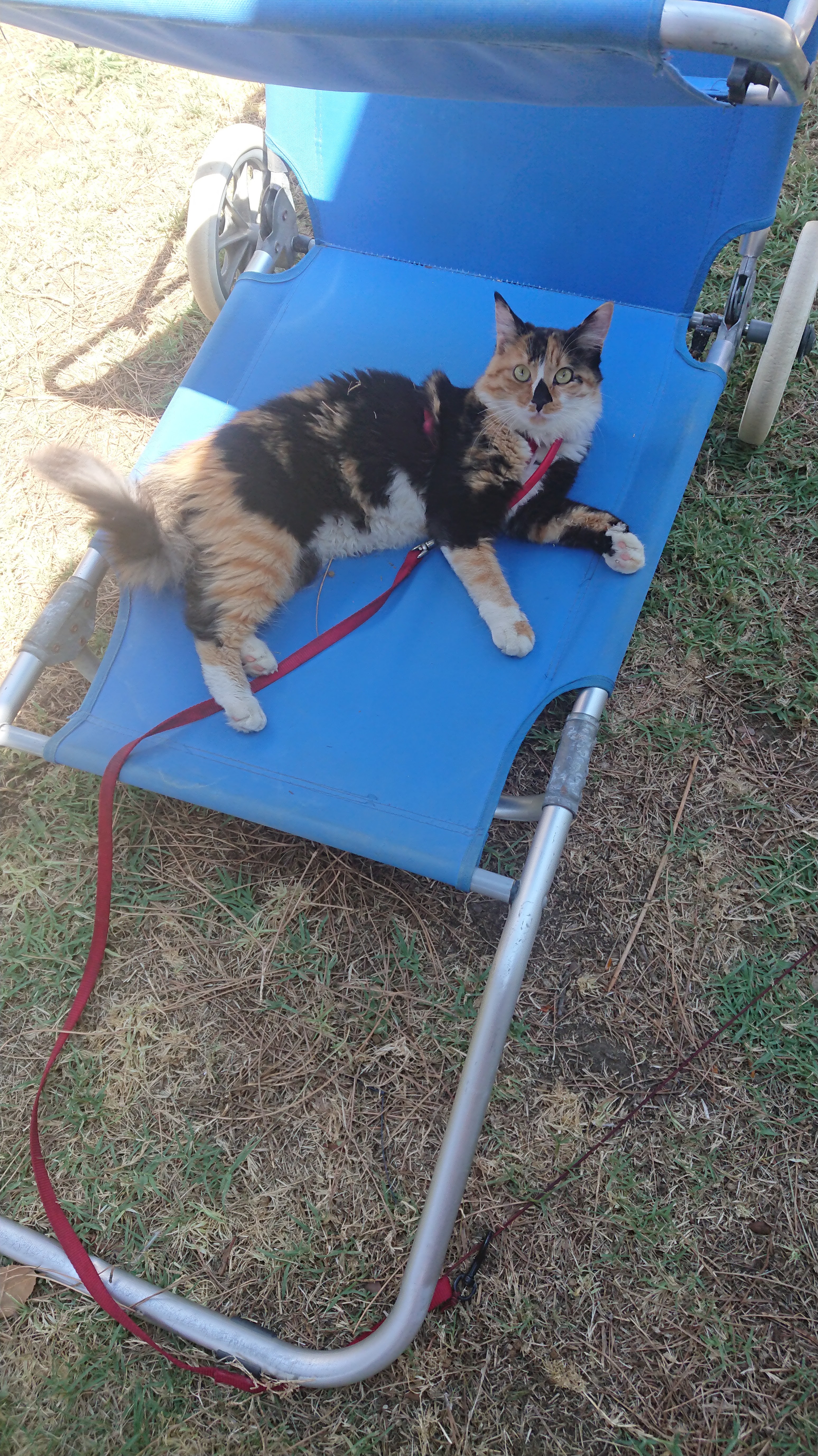 Photo n° 5 de l'avis de Andrea.a fait le 20/08/2019 à 12:22
