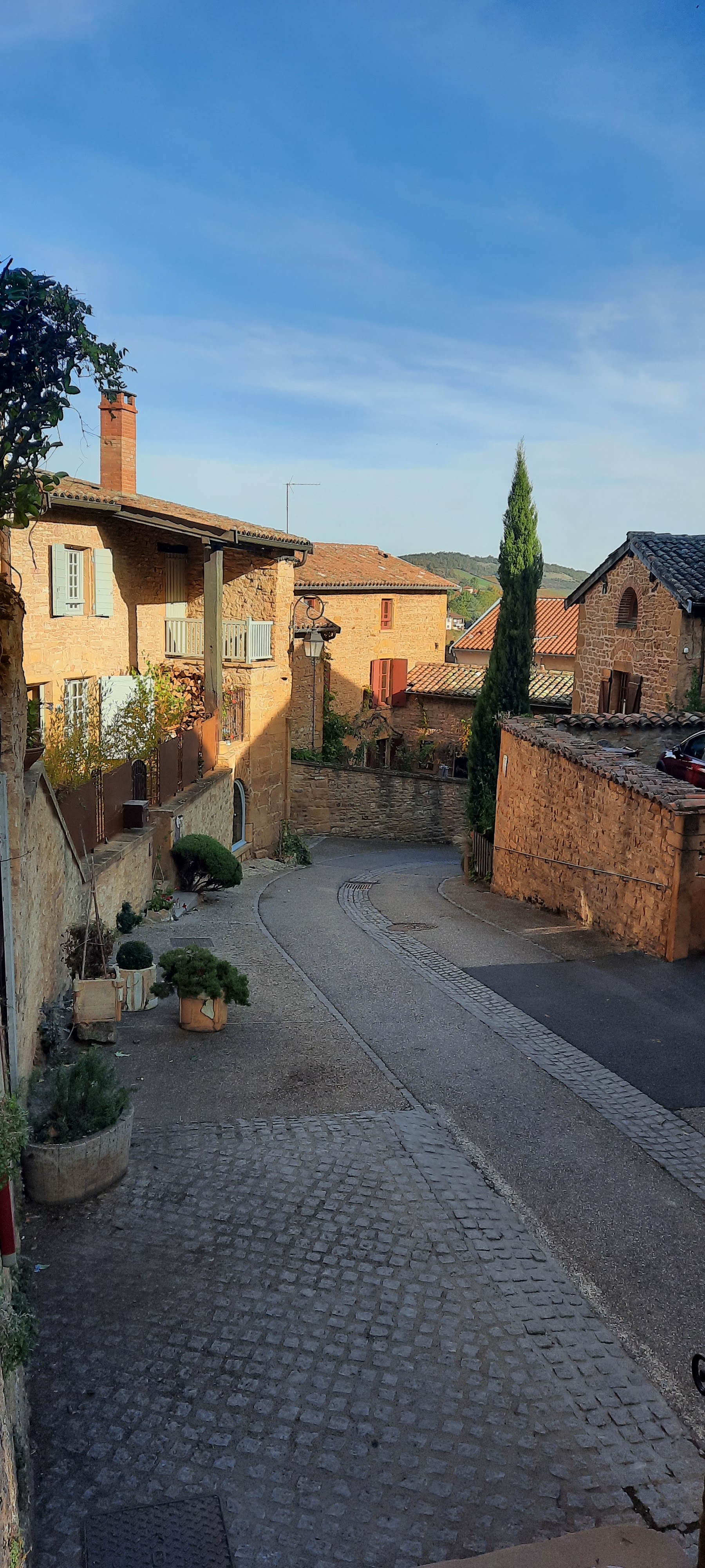 Photo n° 3 de l'avis de Élisabeth.e fait le 28/10/2021 à 19:33