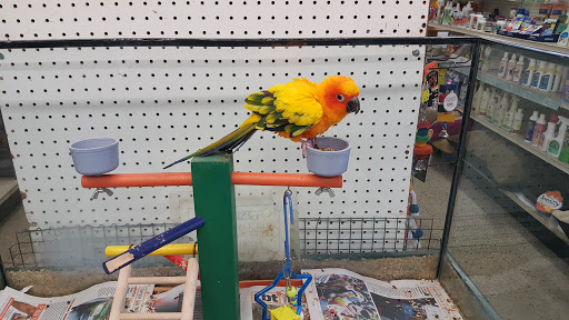 Pet Supply Store «Pets Unlimited», reviews and photos, 1888 Drew St, Clearwater, FL 33765, USA