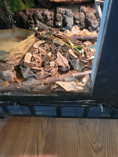 Pet Store «Off The Hook Exotics Pet Shop», reviews and photos, 926 5th Ave, Coraopolis, PA 15108, USA