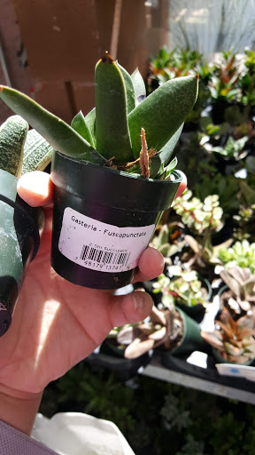 Hardware Store «Orchard Supply Hardware», reviews and photos, 2245 Gellert Blvd, South San Francisco, CA 94080, USA