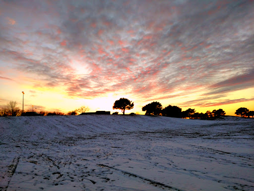 Insurance Company «Blue Cross and Blue Shield of Minnesota», reviews and photos