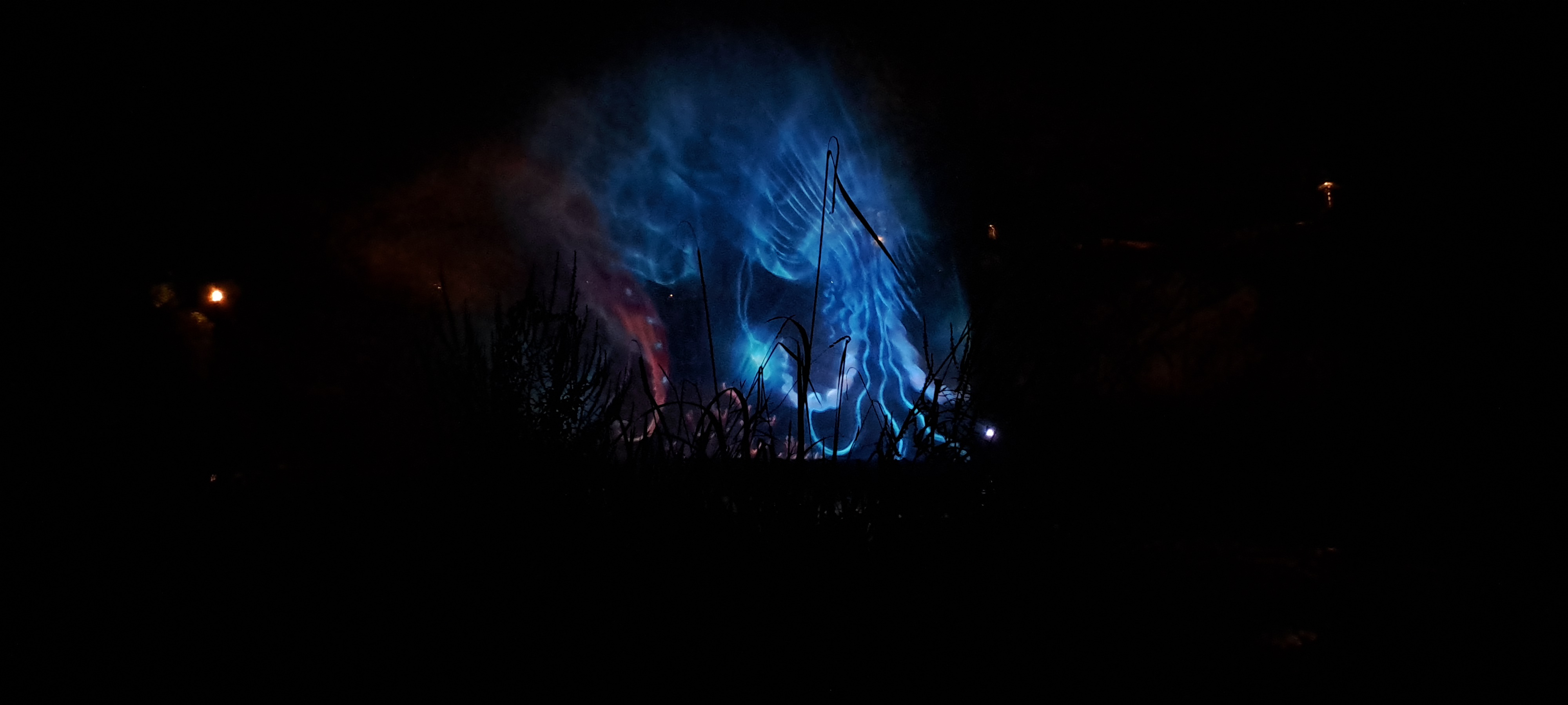 Photo n° 8 de l'avis de bellou57.o fait le 08/07/2023 à 21:38