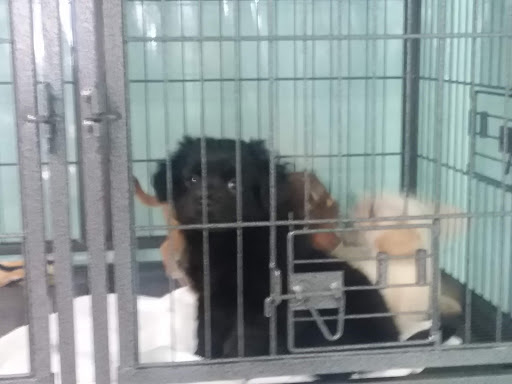 Pet Store «The Pet Stop», reviews and photos, 9128 E Foothill Blvd, Rancho Cucamonga, CA 91730, USA