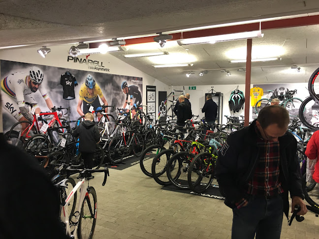 anmeldelser af Børkop Cykler Odense (Syddanmark)